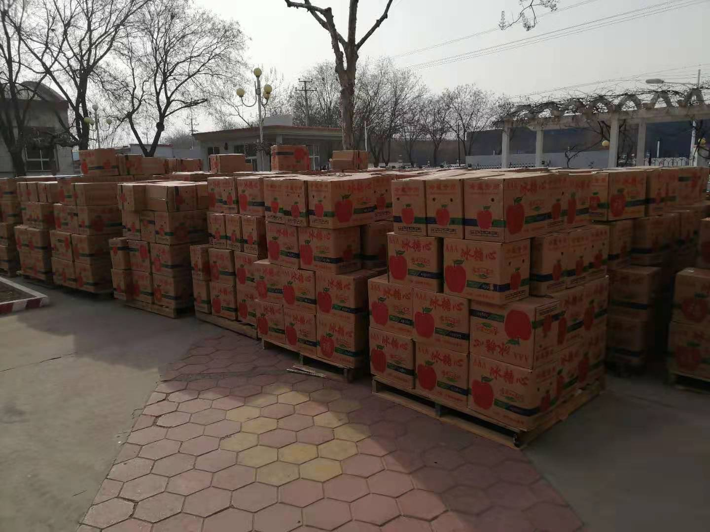 心系員工 溫暖新春 力科公司為全體員工發(fā)放春節福利